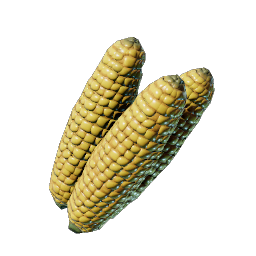 Corncob