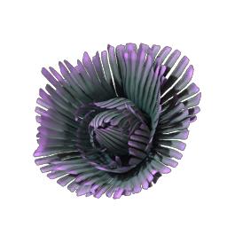 Grandleaf Cabbage