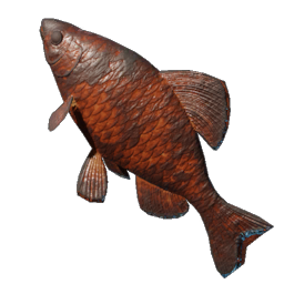 Grilled Emberfin