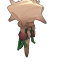 Tidal Totem