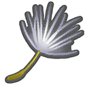 Fluffy Dandelion Tuft