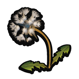 Dandelion