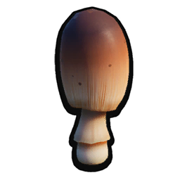 Mushroom