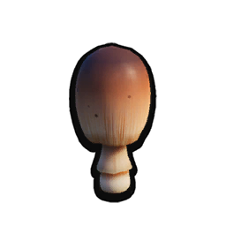 Mushroom