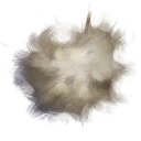 Dust Mite Fuzz