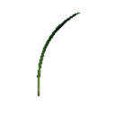Grass