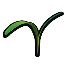 Grass