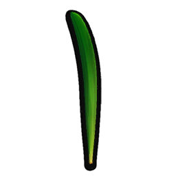 Grass