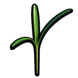 Grass