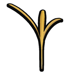 Dry Grass