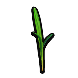 Grass