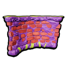 Marine Curved Wall
