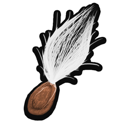Milkweed Tuft icon