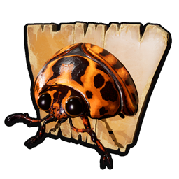 Potato Beetle Wall Mount