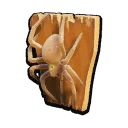 Spiderling Wall Mount