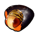 Water Boatman Wall Mount icon