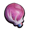 Muscle Sprout