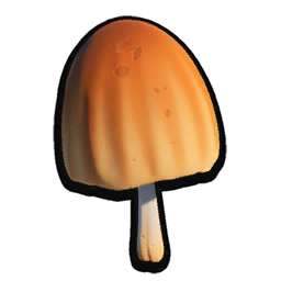 Mushroom