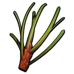 Pine Needle icon