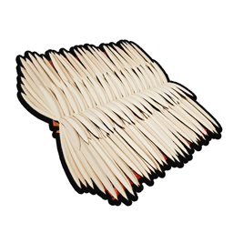 Thatch Flat Roof