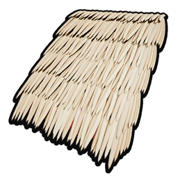 Thatch Roof