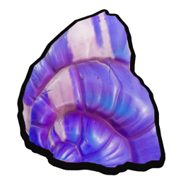 Calcined Snail Fragment