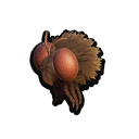 Stuffed Gnat