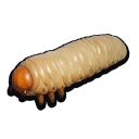 Stuffed Grub