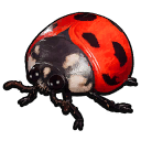 Stuffed Ladybug