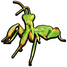Stuffed Praying Mantis Nymph