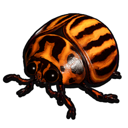 Stuffed Potato Beetle