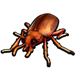 Stuffed Rust Beetle