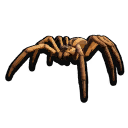 Stuffed Wolf Spider