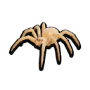 Stuffed Spiderling
