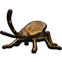 Stuffed Stinkbug