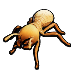 Termite Worker icon