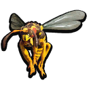 Stuffed Wasp Queen