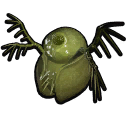Water Flea