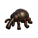 Stuffed Weevil