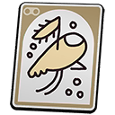 Water Boatman
