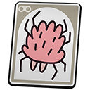 Lawn Mite