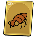 Cockroach Nymph