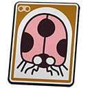 Ladybug