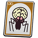 Orb Weaver