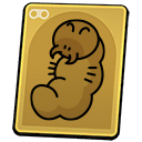 Termite Larva