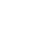 Veteran Diver