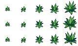 Aloe Sprite