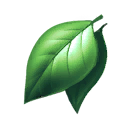 Biomass
