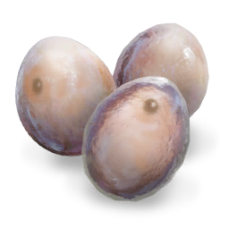 Vulpir Egg