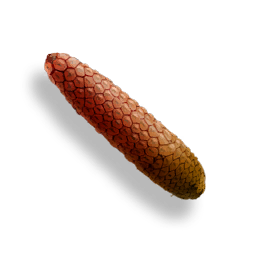 Polifruit